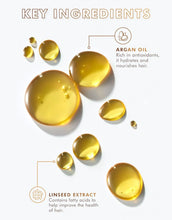 Load image into Gallery viewer, Moroccanoil Treatment Oil - Original