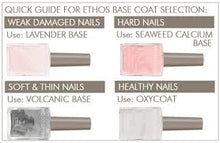Load image into Gallery viewer, Quick guide for ETHOS Base coats