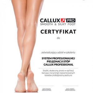 Callux Pro Home Dry Pedicure Kit